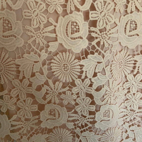 Pale Pink High Neck Lace Dress - Picture 2 of 3